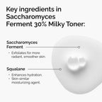 Infographic showing key ingredients in The Ordinary's Milky Toner. Saccharomyces Ferment exfoliates for smoother skin, while Squalane, a skin-similar agent, enhances hydration.